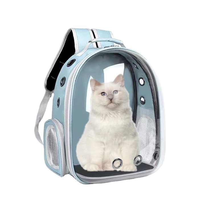cheap wholesale jansport backpacks Jansport Clear Backpack