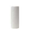 Seasonal Print Paper Towel Set